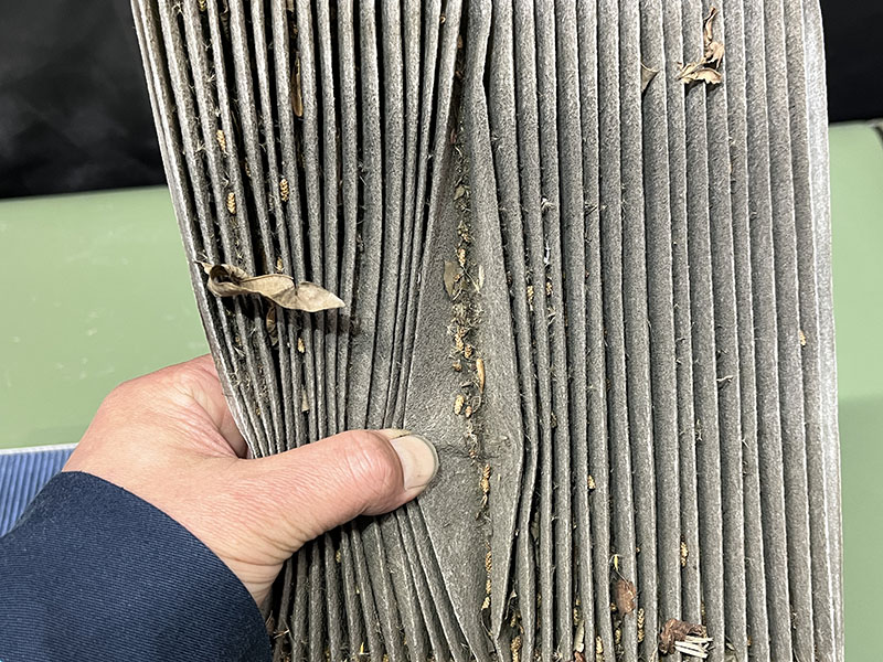 新品フィルター